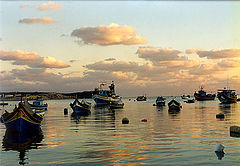 photo "evening near sea"