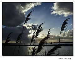 photo "Hiding"