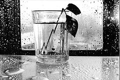 фото "Tears"