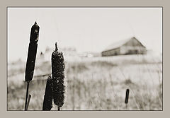 photo "Good bye fall, welcom winter !!"