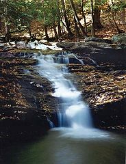 фото "wvfalls"