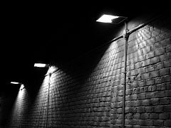 photo "lights"