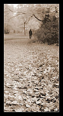фото "Осенний парк #1"