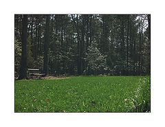 photo "From a series of benches "Summer""