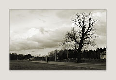 photo "Early spring in central europe contryside"