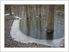 фото "Frost"