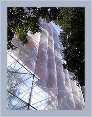 фото "Under Full Sail"