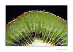 фото "Kiwi"