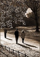 photo "Afternoon walk"