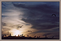 photo "Ballet"