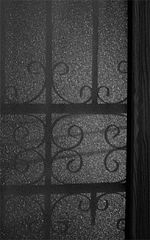 фото "Shadows on glass"