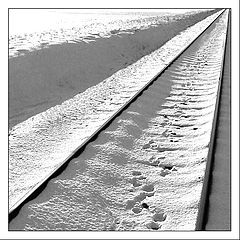 photo "Tracks in Snow"