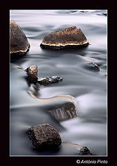 фото "Island`s in the River"