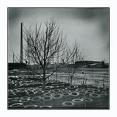фото "sad story"