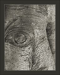 фото "Look"