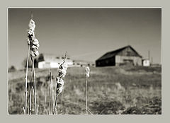 photo "Good bye winter - wellcom spring !!!"
