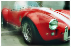photo "King Cobra"