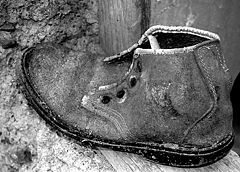 фото ""Shoe""