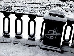 фото "знак"