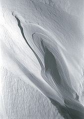 фото "цветок"