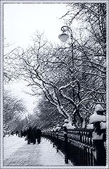 photo "Winter pastel"