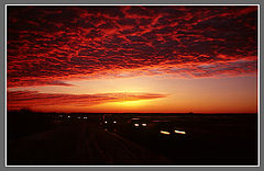 photo "In is dear"