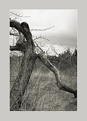 photo "Broken life"