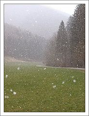 фото "It`s snowing hard..."