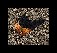 photo "Megalomania"