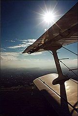 photo "wing"