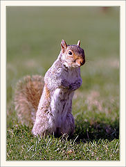 photo "My new friend:)"