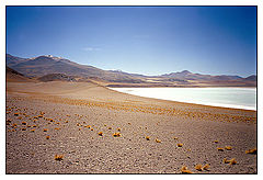 фото "Atacama`s desert"