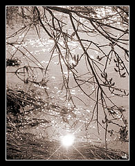 фото "Весна"
