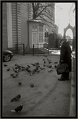 photo "Old benefactor."