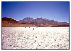 фото "Salinas"