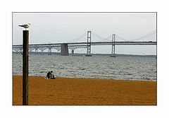 photo "Bay Bridge"