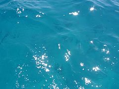 photo "Blue Red Sea"