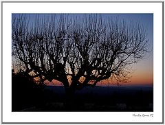 фото "Evening..."