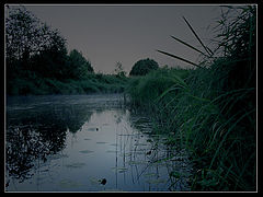 фото "The night... Good night."