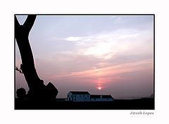 фото "gracious morning"