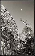 photo "moon and half something :)"