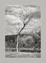 photo "Wind-keeper"