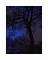 photo "Troubled sleep"