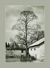 photo "Old world - new world"