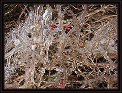 фото "Winter Masterwork"