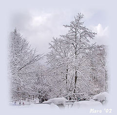 фото "Зимний март"