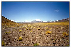 фото "Atacama`s desert"