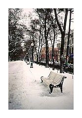 photo "February . my heart  waiting a spring  )"