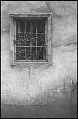 фото "Look through me"