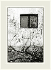 photo "Reverse side"